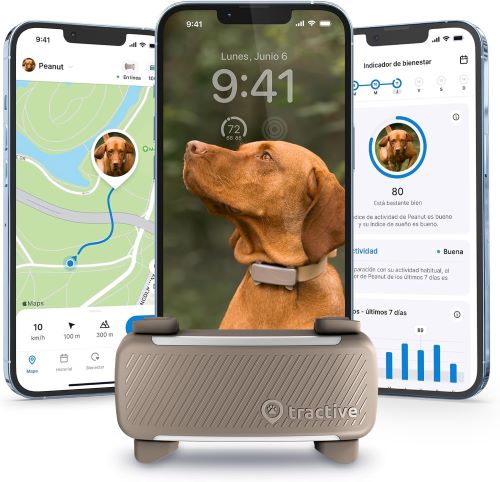 Tractive - GPS perros - 2025 Edición - N.º 1 del mercado