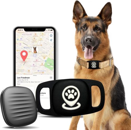 Lnicez Collar Localizador Perros Sin Suscripción