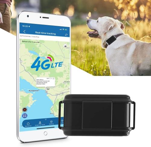 4G Collar GPS Perros de Caza Sin Suscripción 3000mAH Rastreador GPS