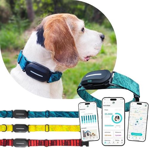 gps perros destacada