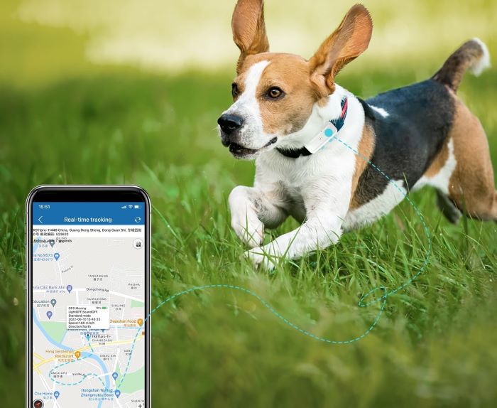 gps perros guia