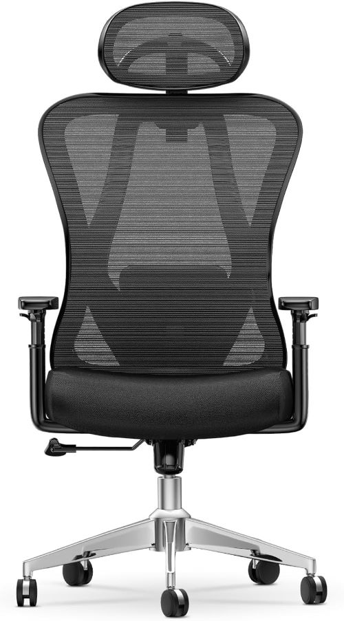 naspaluro Silla de Oficina, Silla de Escritorio Ergonómica