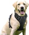 rabbitgoo Arnes Perro Antitirones Extra Grande