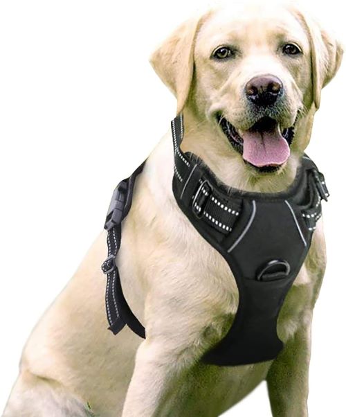rabbitgoo Arnes Perro Antitirones Extra Grande