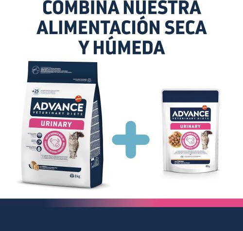 AdvancePienso para Gatos para la Protección de las vías urinarias