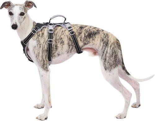 Huntboo Arnés para Perros a Prueba de Escapes