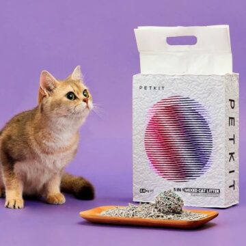 Las mejores arenas para gatos. Comparativa, ventajas y precio