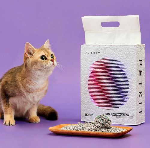 ARENA GATOS