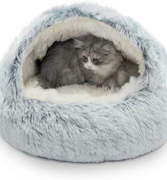 cama gato