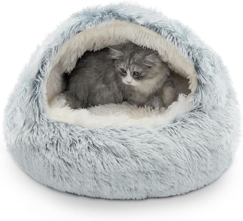 cama gato