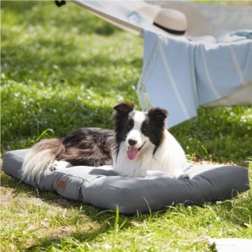 Mejores camas para perros en calidad precio del mercado. Confort, salud y descanso óptimo para tu mascota