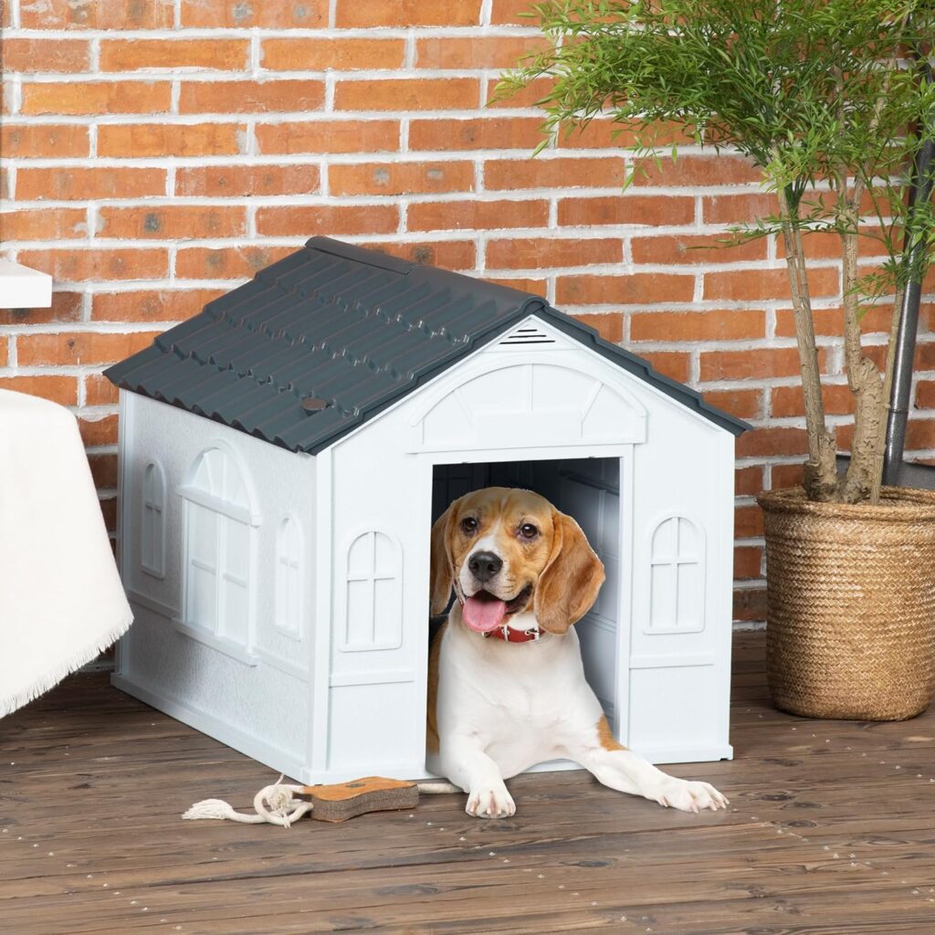 Caseta de Perro exterior