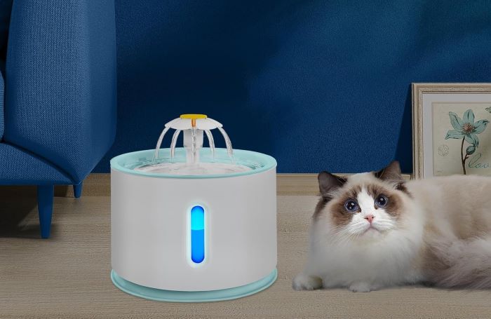 fuente gatos