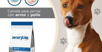 pienso comnpuesto