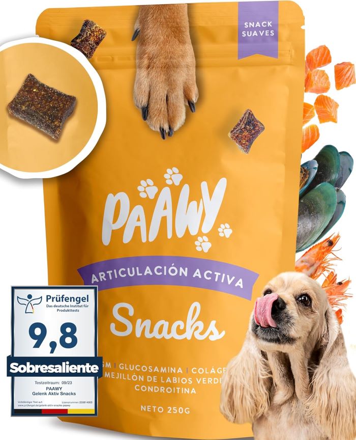 pienso comnpuesto perros
