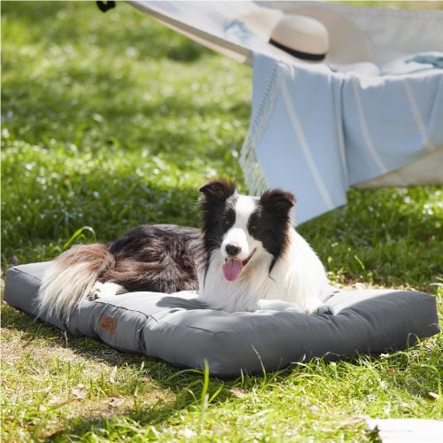 camas ortopedicas perros