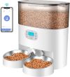 Comederos Automáticos Inteligente para Gatos y Perros