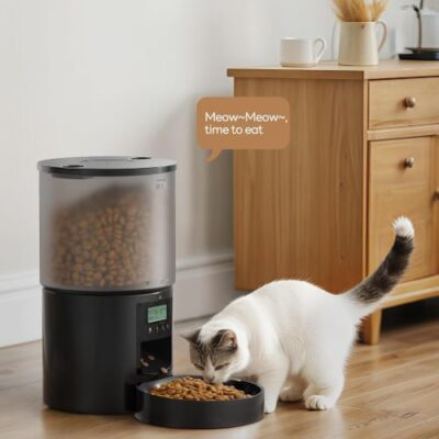 Comedero Gato Automatico