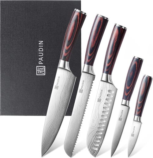 PAUDIN Juego de Cuchillos de Cocina Profesional, Set de 5 Cuchillos 