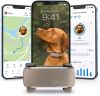 Tractive - GPS perros - 2025 Edición - N.º 1 del mercado