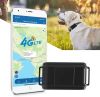 4G Collar GPS Perros de Caza Sin Suscripción 3000mAH Rastreador GPS