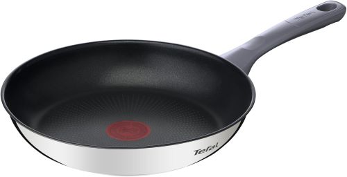 Tefal Daily Cook - Sartén de 24 cm