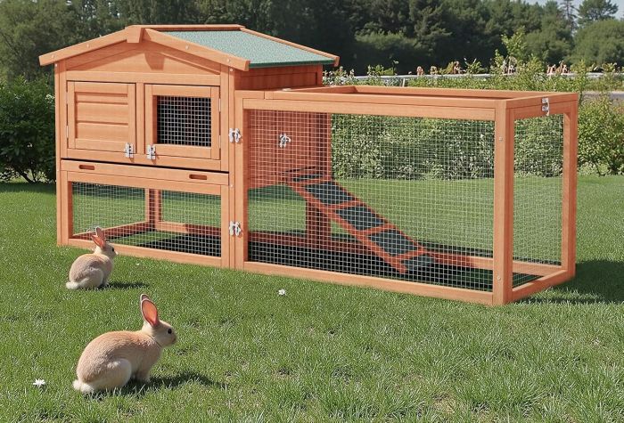 casas para conejos guia 2