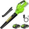 Soplador de Hojas, 20V de 2×2.0Ah con Batería