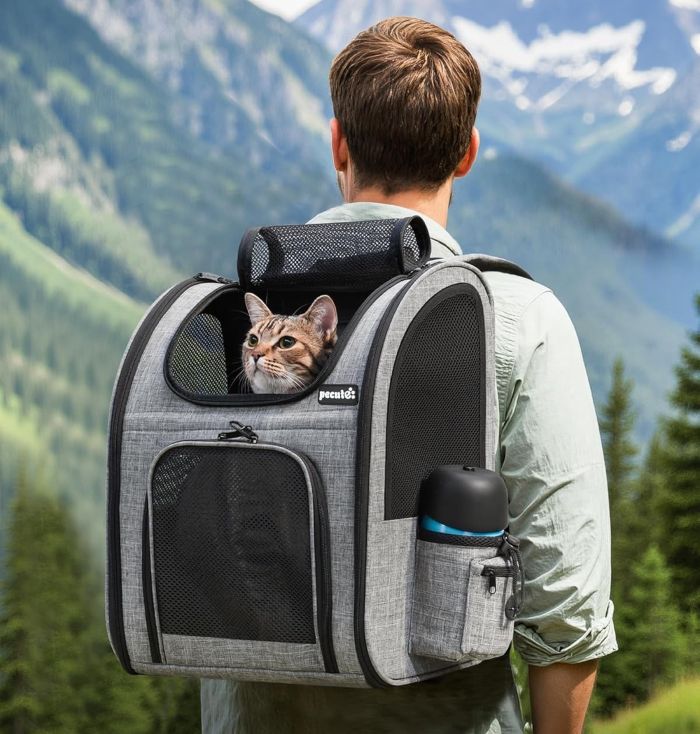 mochilas para gatos guia 1