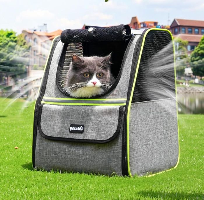 mochilas para gatos guia 2