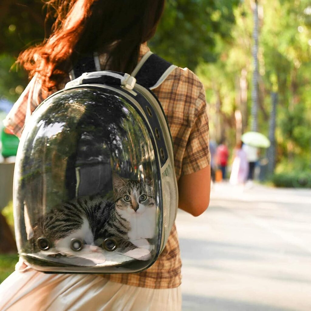 mochilas para gatos guia 3