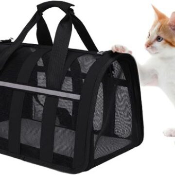 Mejores 9 transportines para gatos. Características, opiniones y precios