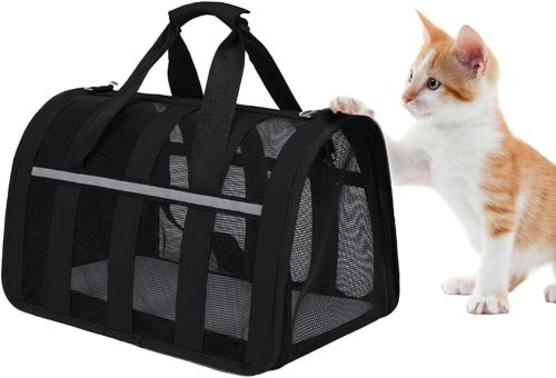 transportin gatos destacada