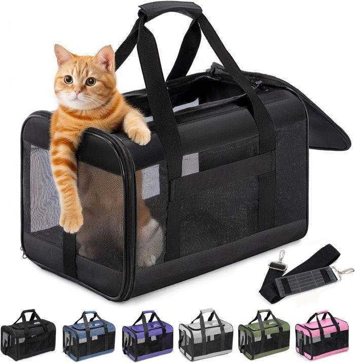 transportin gatos guia 1