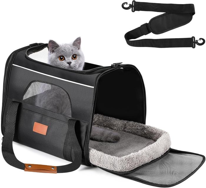 transportin gatos guia 2
