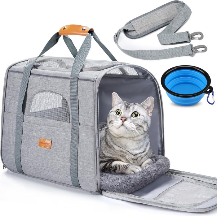 transportin gatos guia 3