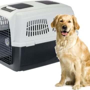 Mejores 9 Transportines para Perros Grandes. Características, opiniones y precios