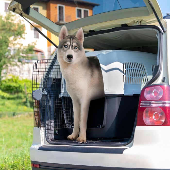 transportin perro grande guia 3